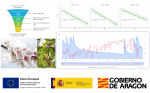 Proyecto ERICA: hacia un riego más inteligente y sostenible del almendro